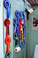 WC:n sisustus / Toilet decorations :) WC:n sisustus / Toilet decorations :)
